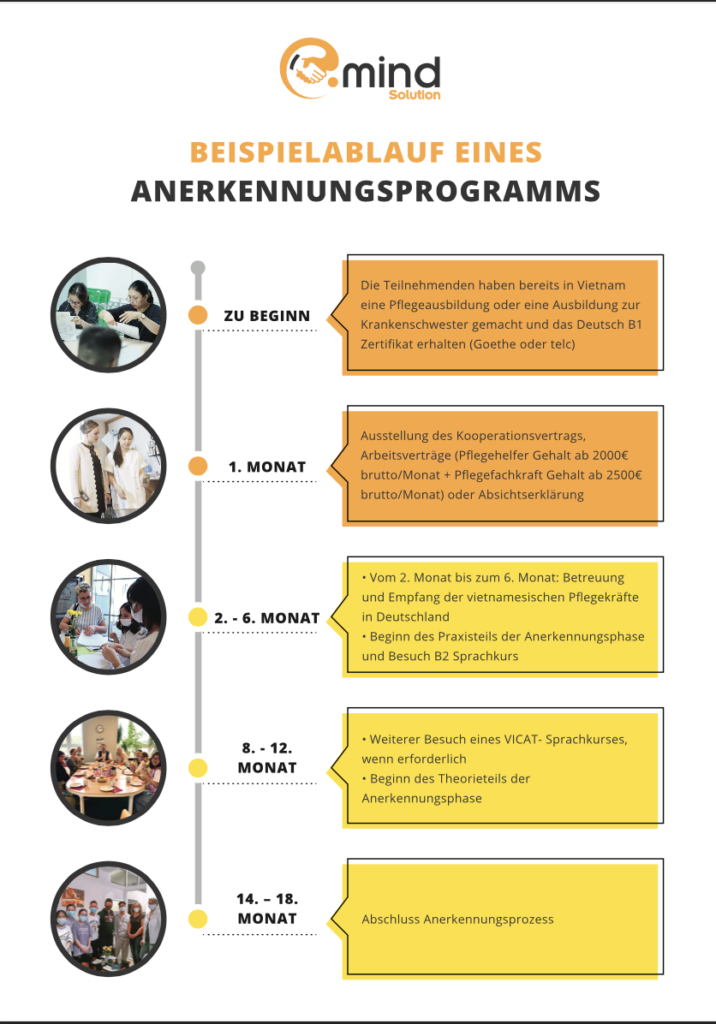 Pflegekräfte aus Vietnam, Pflegekräfte aus dem Ausland